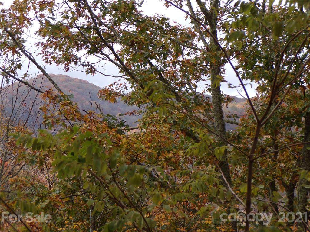 00 Tater Patch Road - Photo 1