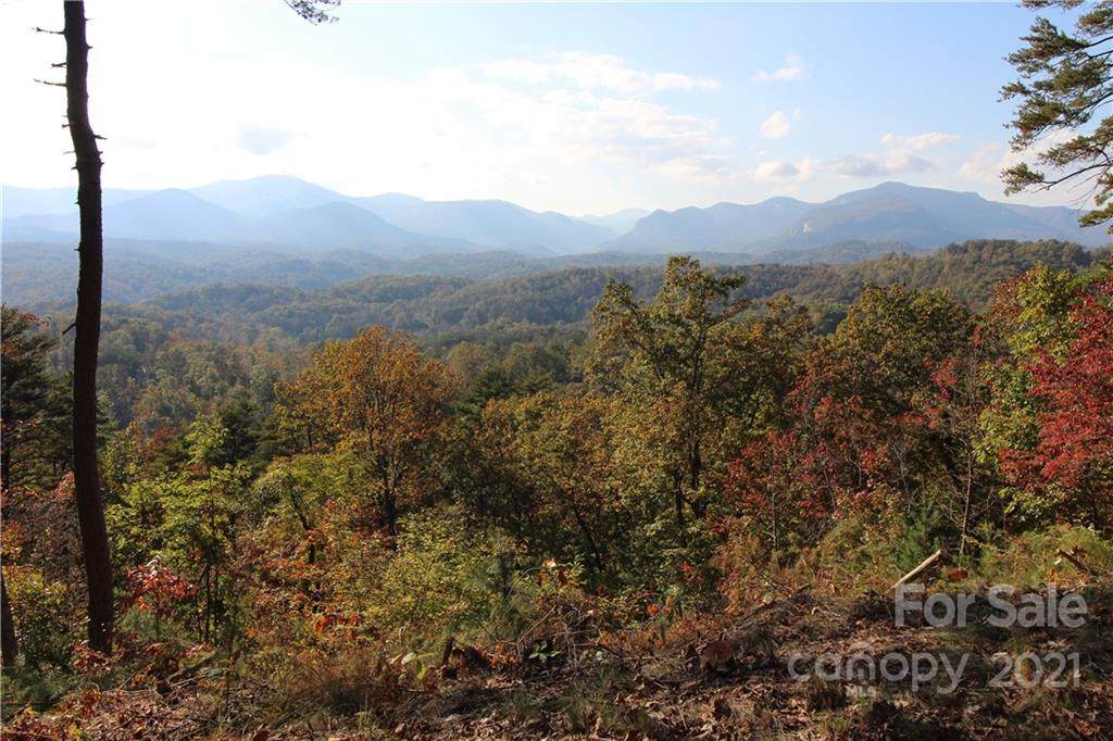 0 Bills Mountain Trail - Photo 1