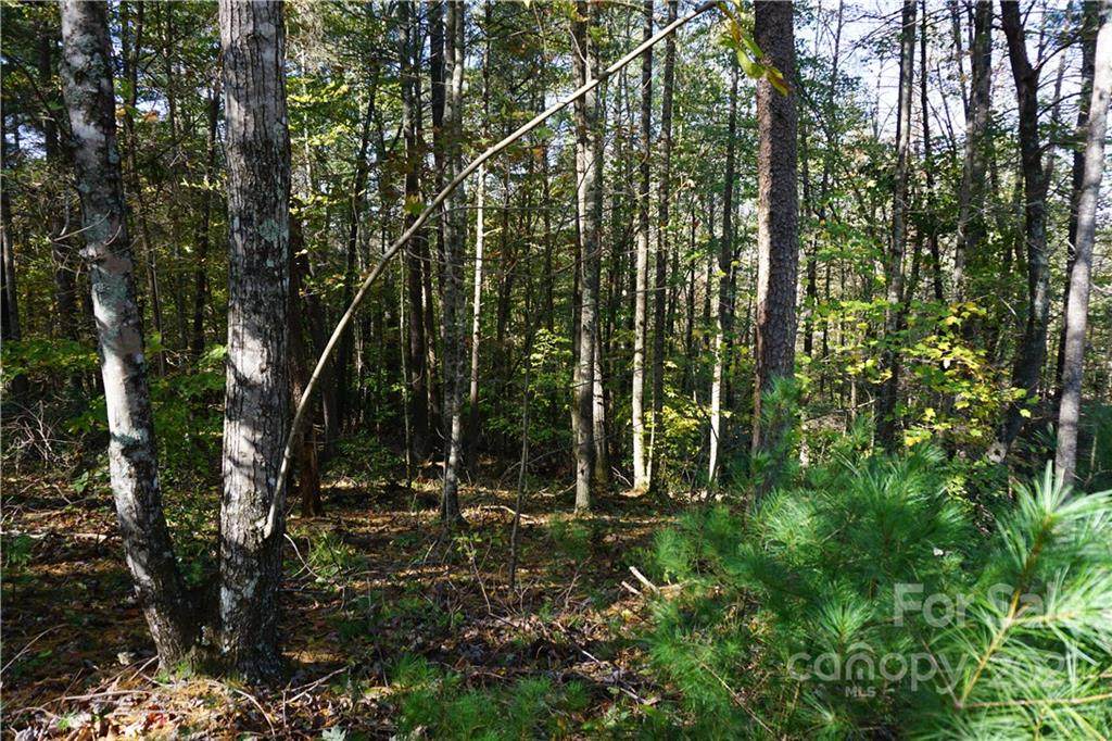 437 Larkhaven Drive - Photo 1