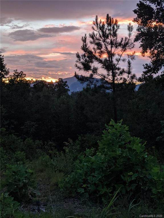 Lot 41 Lake Haven Drive - Photo 1