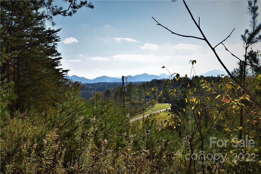 Lot 3/4 Big Rocky Top Drive - Photo 1