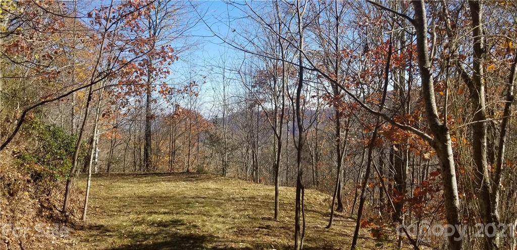 Lot 32 Minot Lane - Photo 1
