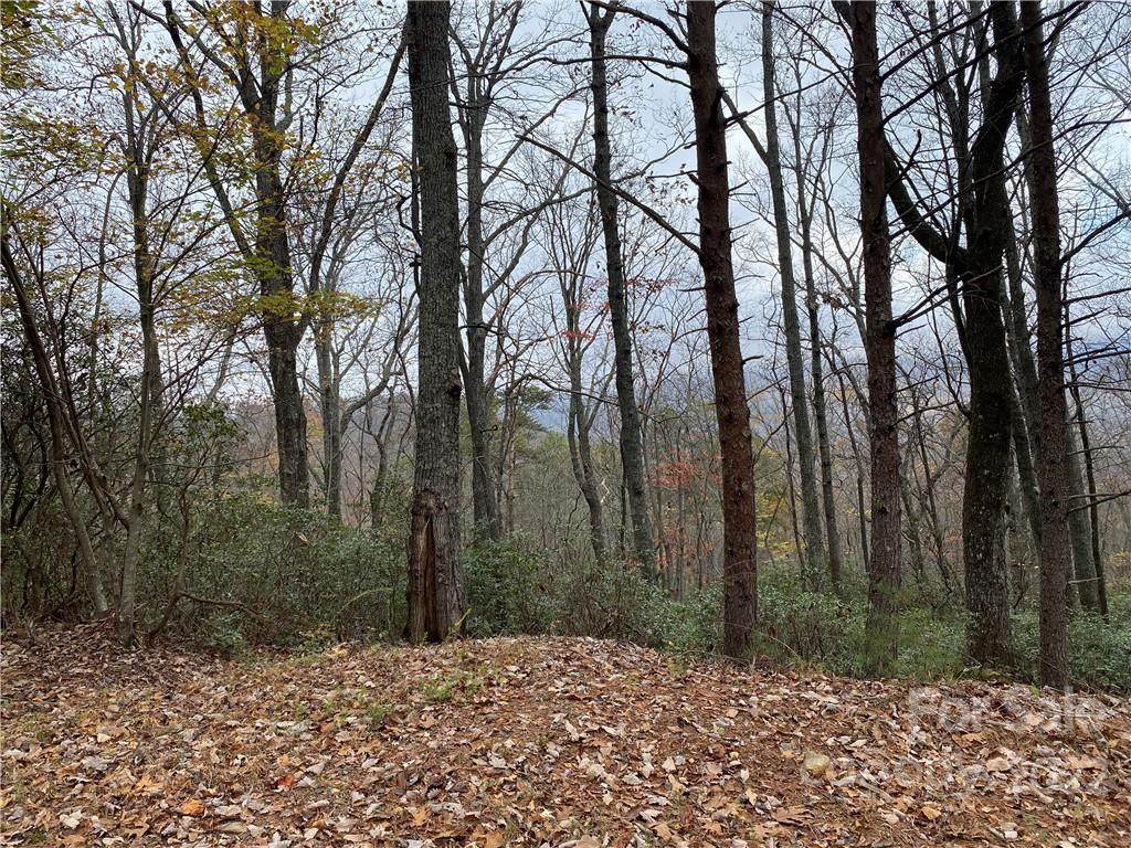 TBA Cardinal Road - Photo 1