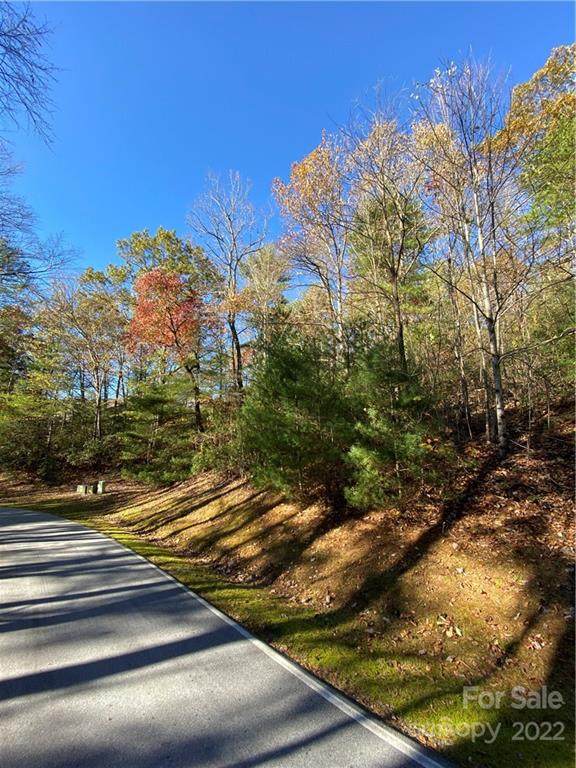 Lot 99 Hawk Mountain Road - Photo 1