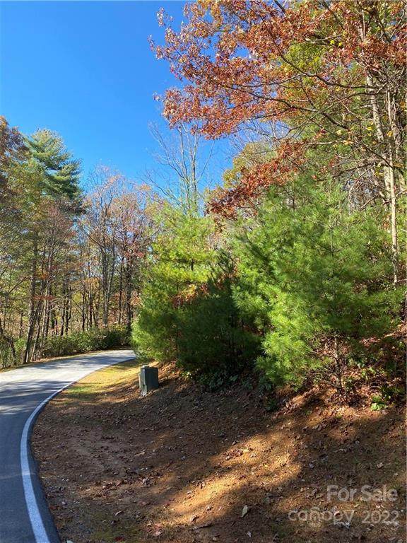 Lot 102 Hawk Mountain Road - Photo 1