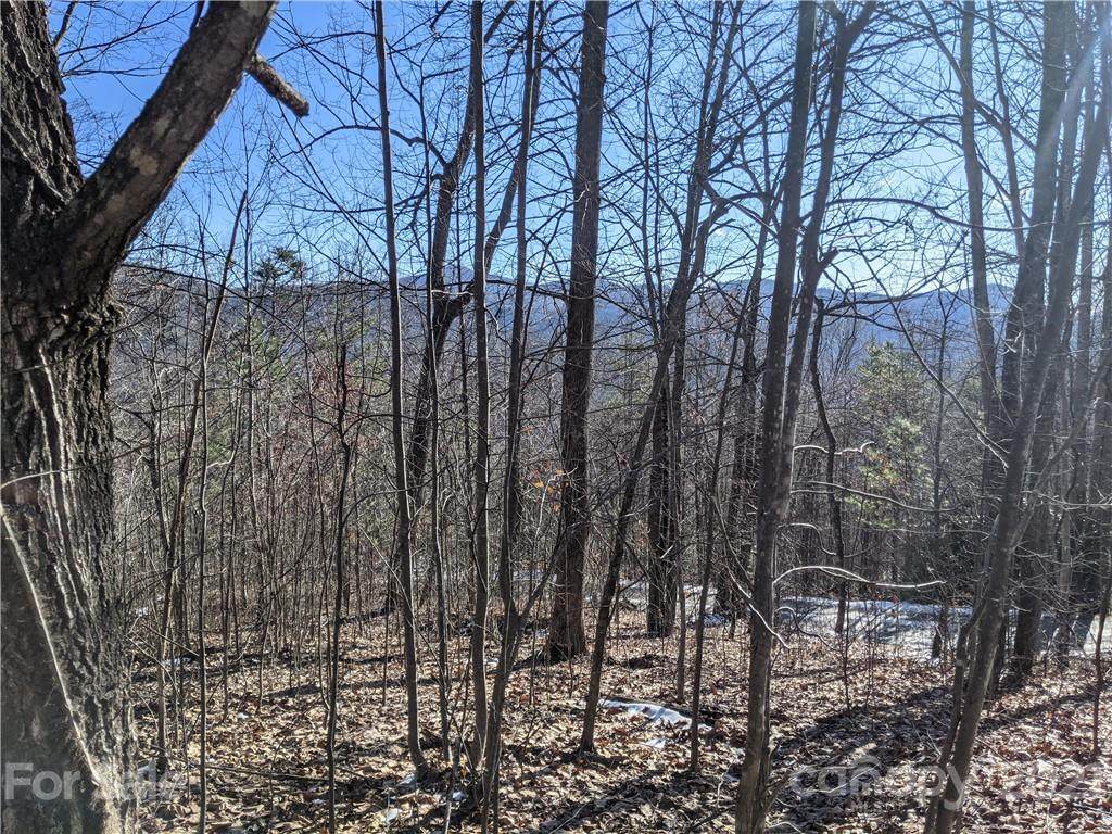 Lot 24 Bald Eagle Drive - Photo 1