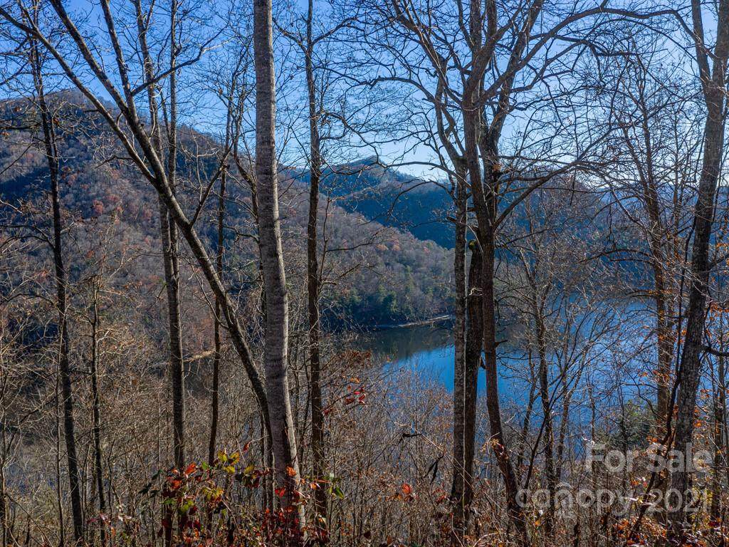 Lot 223 Lilywood Court - Photo 1