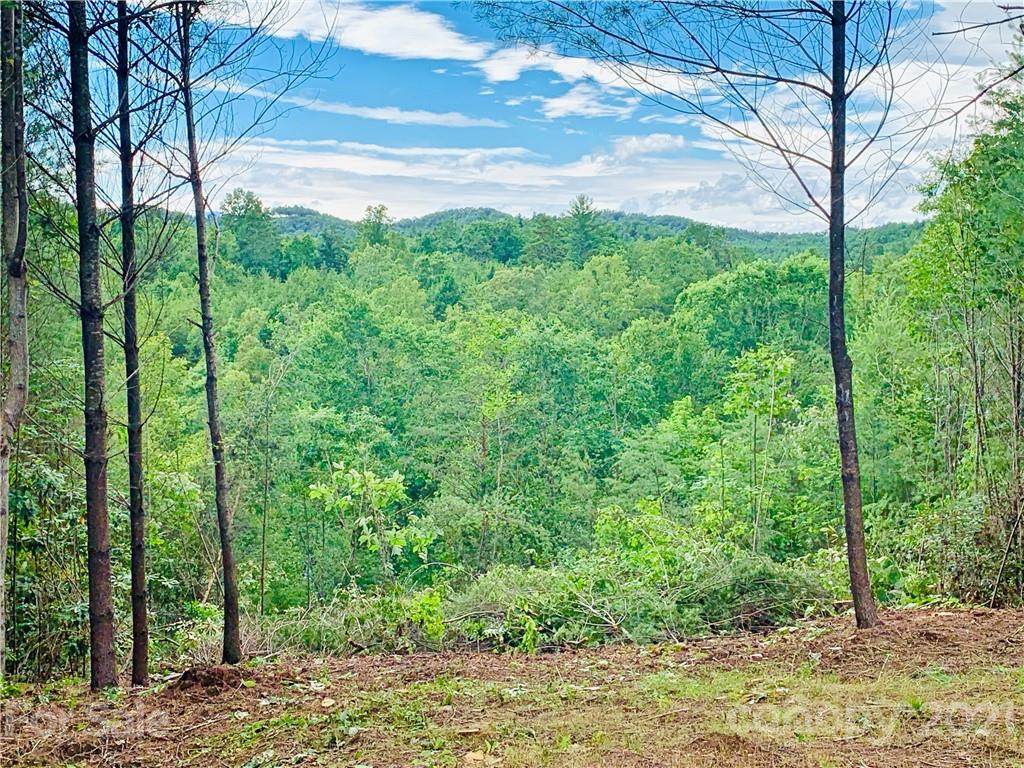 0 Blowing Pines Court - Photo 1