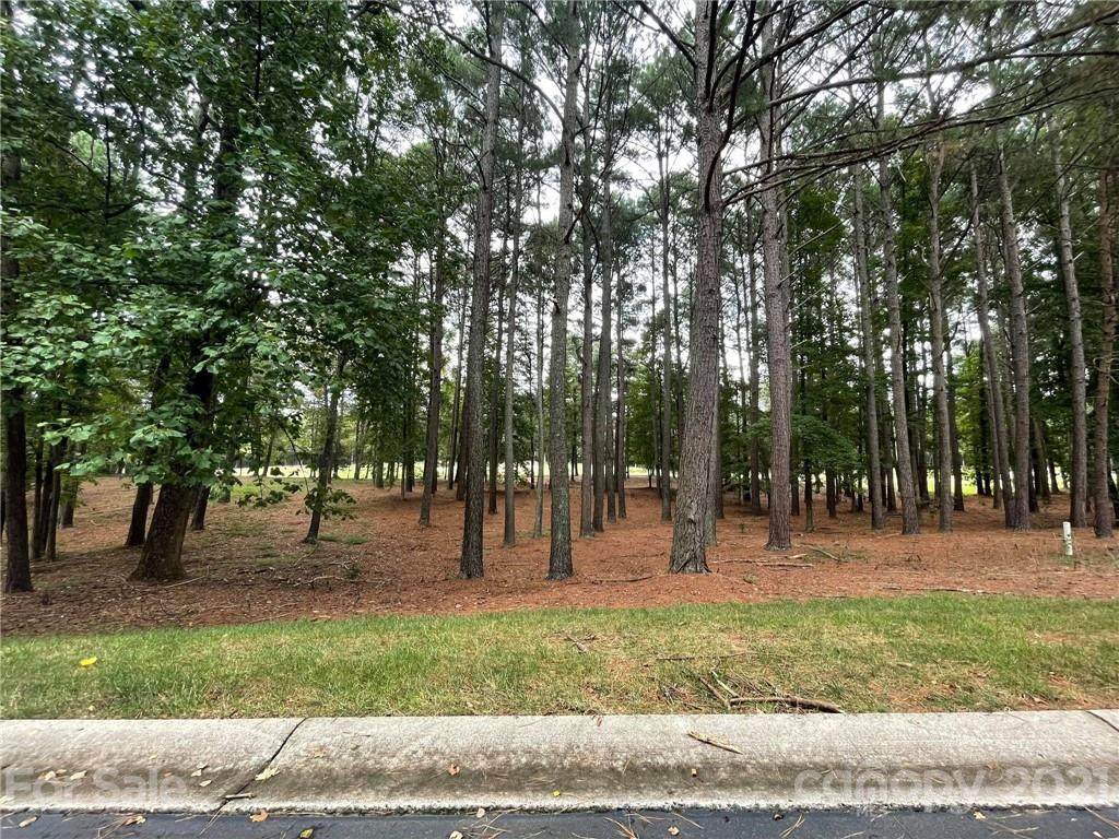 159 Yadkin Falls Road - Photo 1