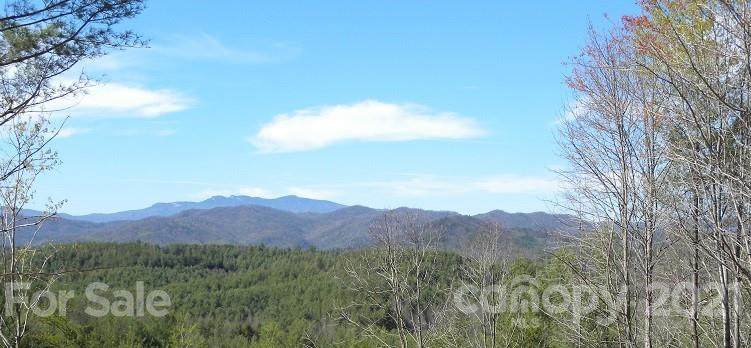 Lot 158 Rocky Falls Lane - Photo 1