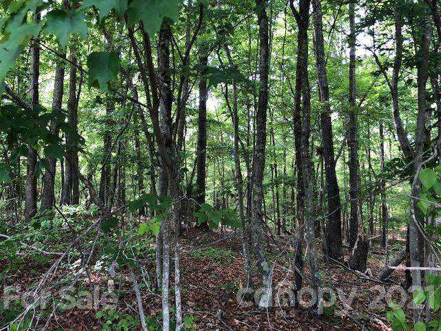 0 High Rock Road - Photo 1