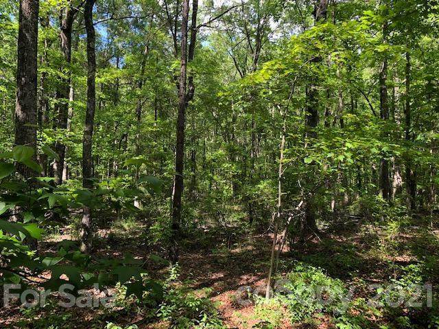 0 High Rock Road - Photo 1