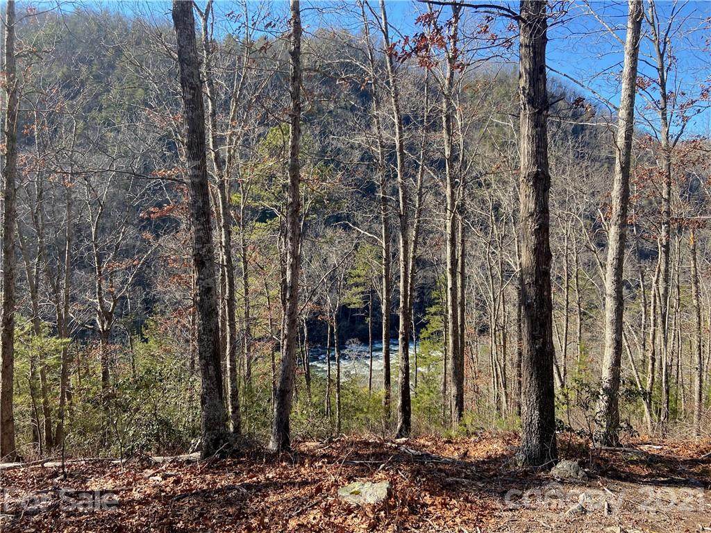 4155 French Broad Parkway - Photo 1