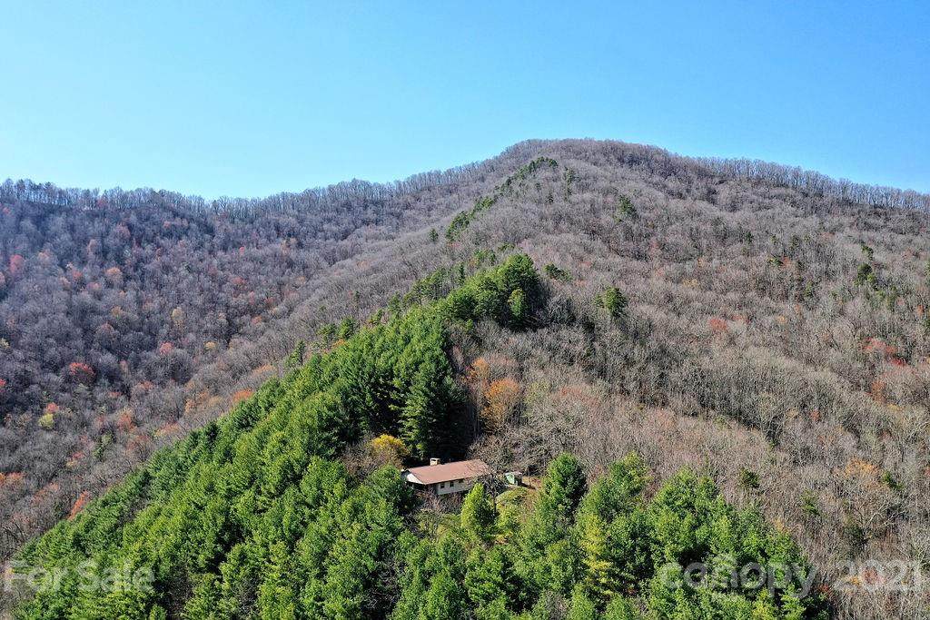 472 Hallelujah Acres Alley - Photo 1