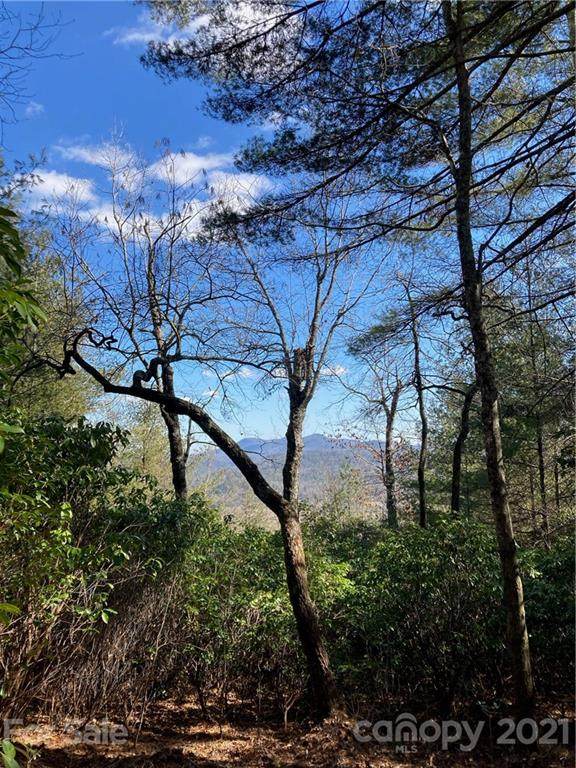 Lot 18-R Hawkins Hollow Road - Photo 1
