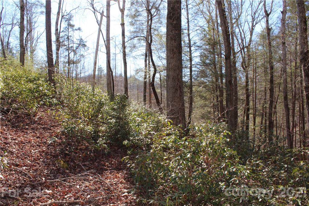 Lot 346 Rock Ledge Drive - Photo 1