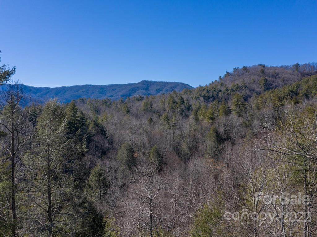 00 Shelton Laurel Road - Photo 1