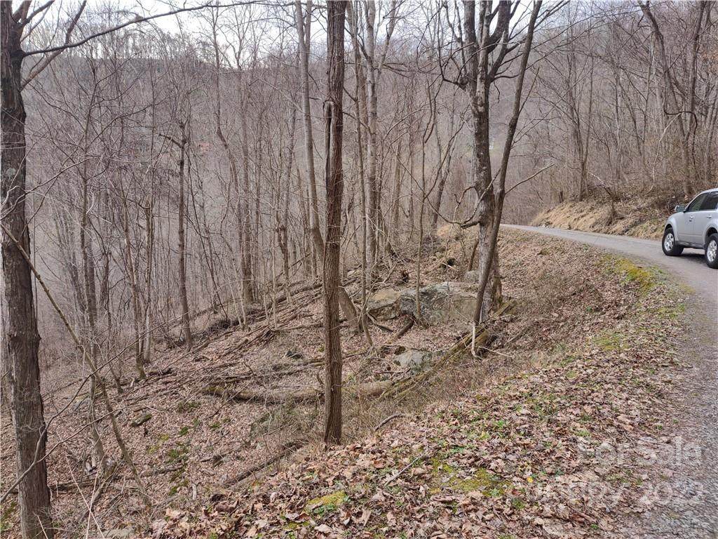 Land off High Spring Trail - Photo 1