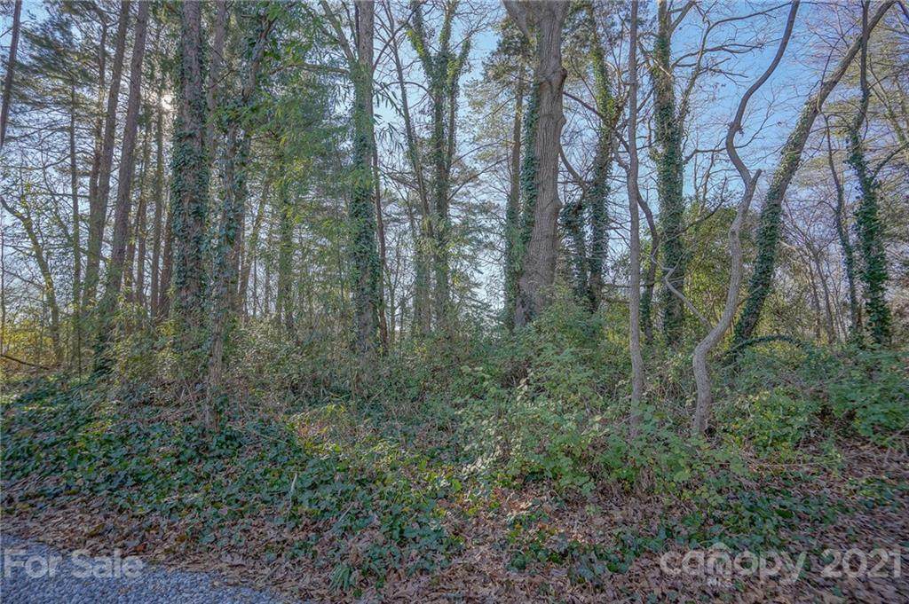 552 Midway Lake Road - Photo 1