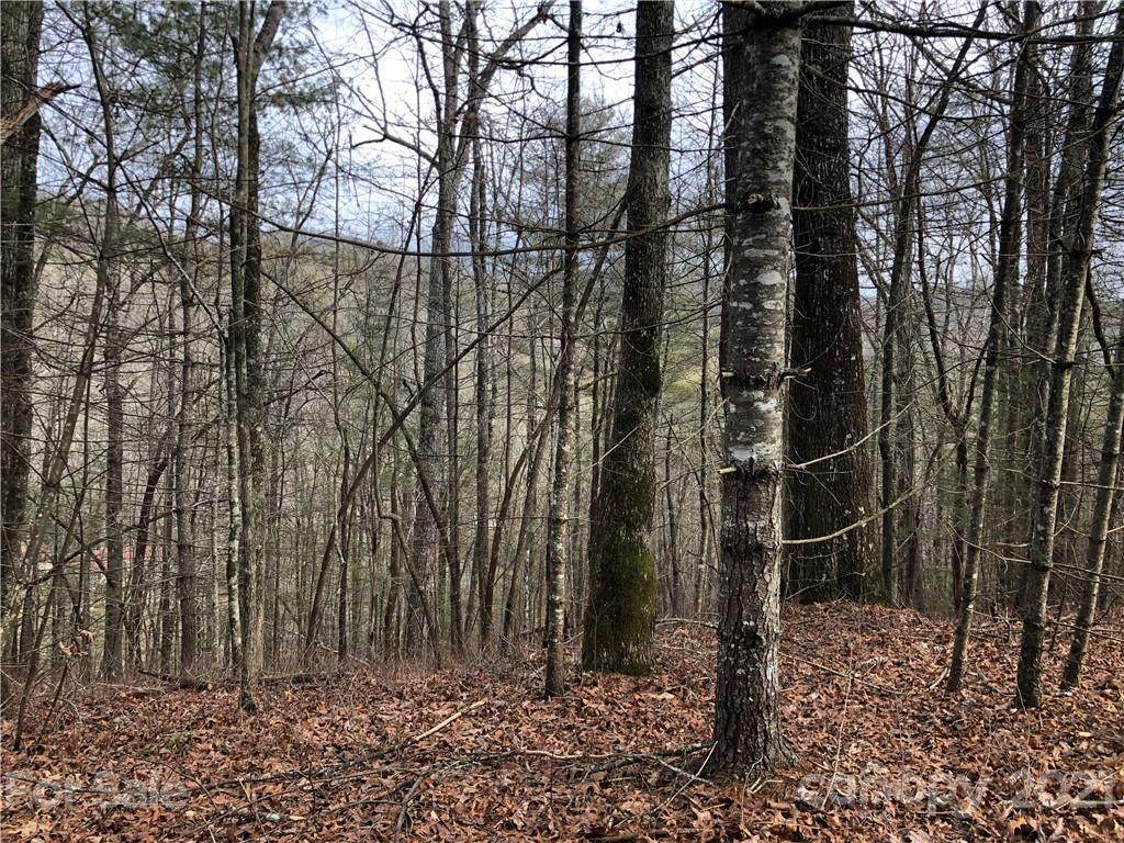Lot #12 Wellspring Way - Photo 1