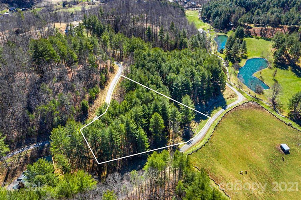 TBD White Pine Lane - Photo 1
