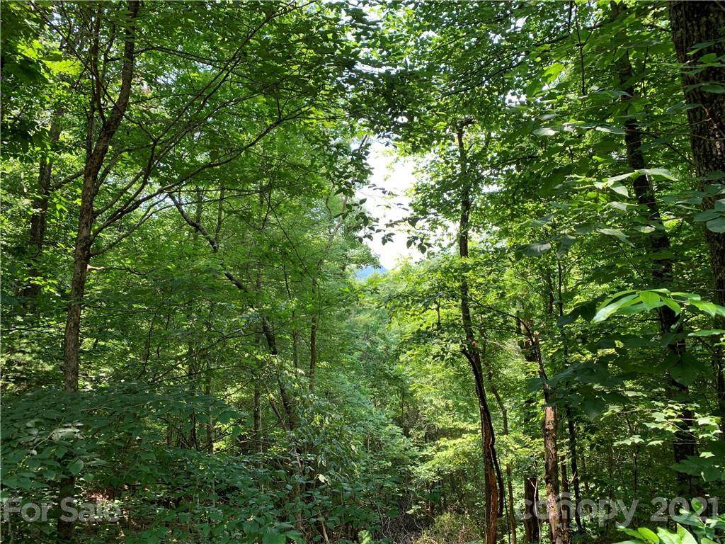 647 White Water Way - Photo 1