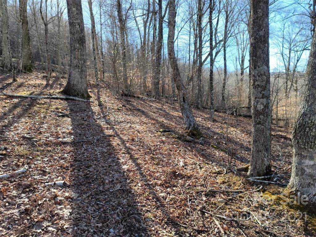 17 Zebulon Lane - Photo 1