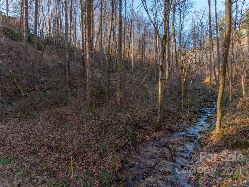 000 Parris Branch Road - Photo 1