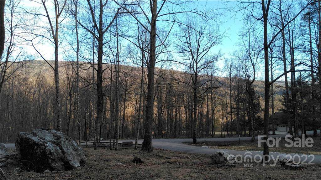 Lot 9 Hunnicut Mountain Road - Photo 1
