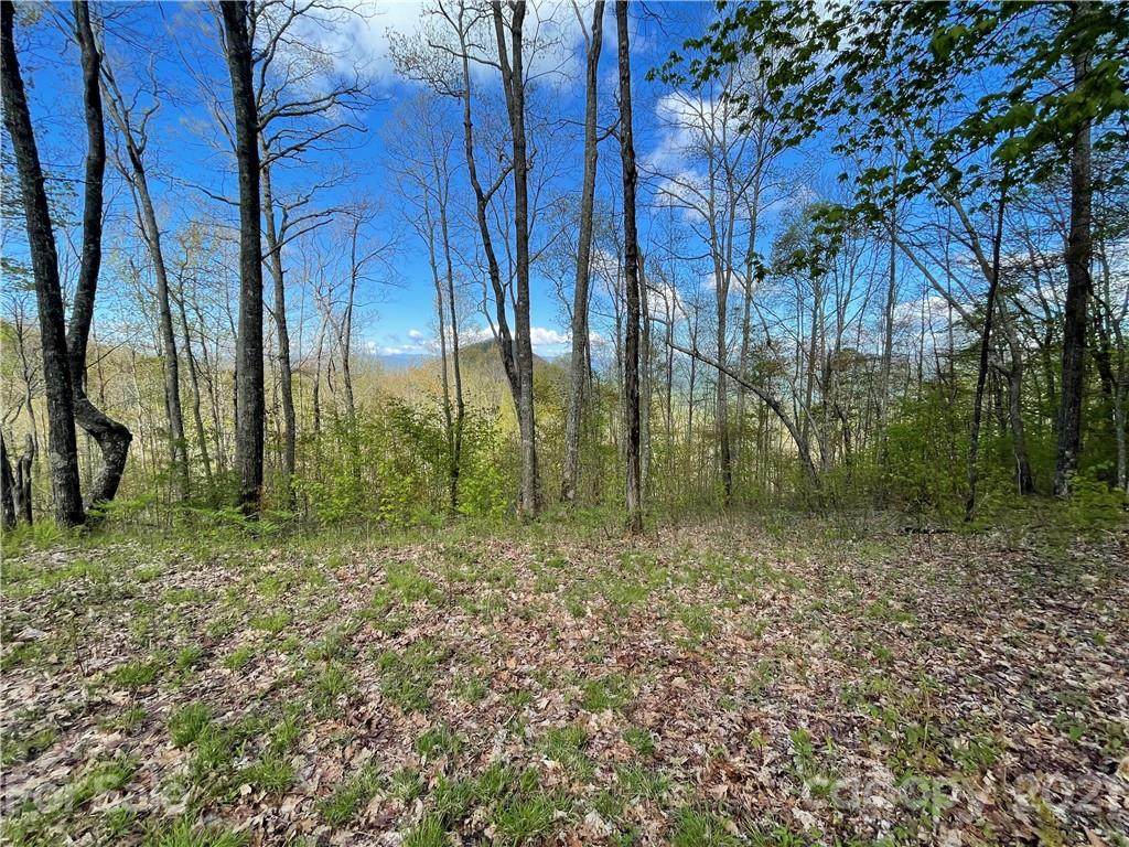 758 Fern Gap Road - Photo 1
