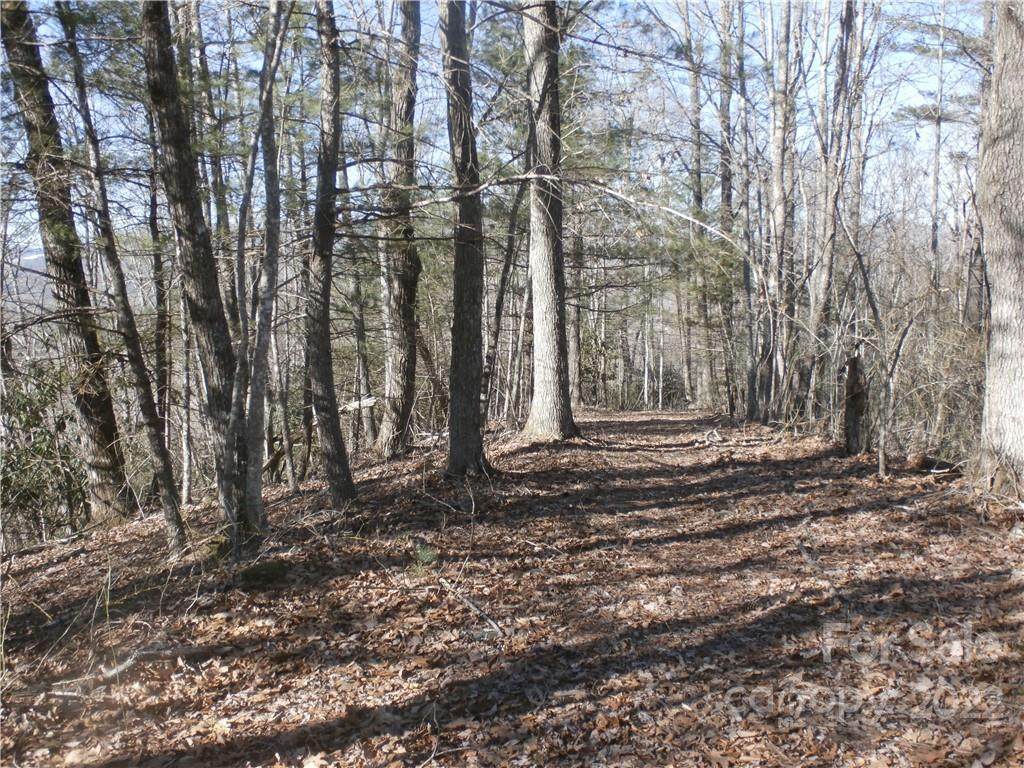 TBD Six Springs Ridge Road - Photo 1
