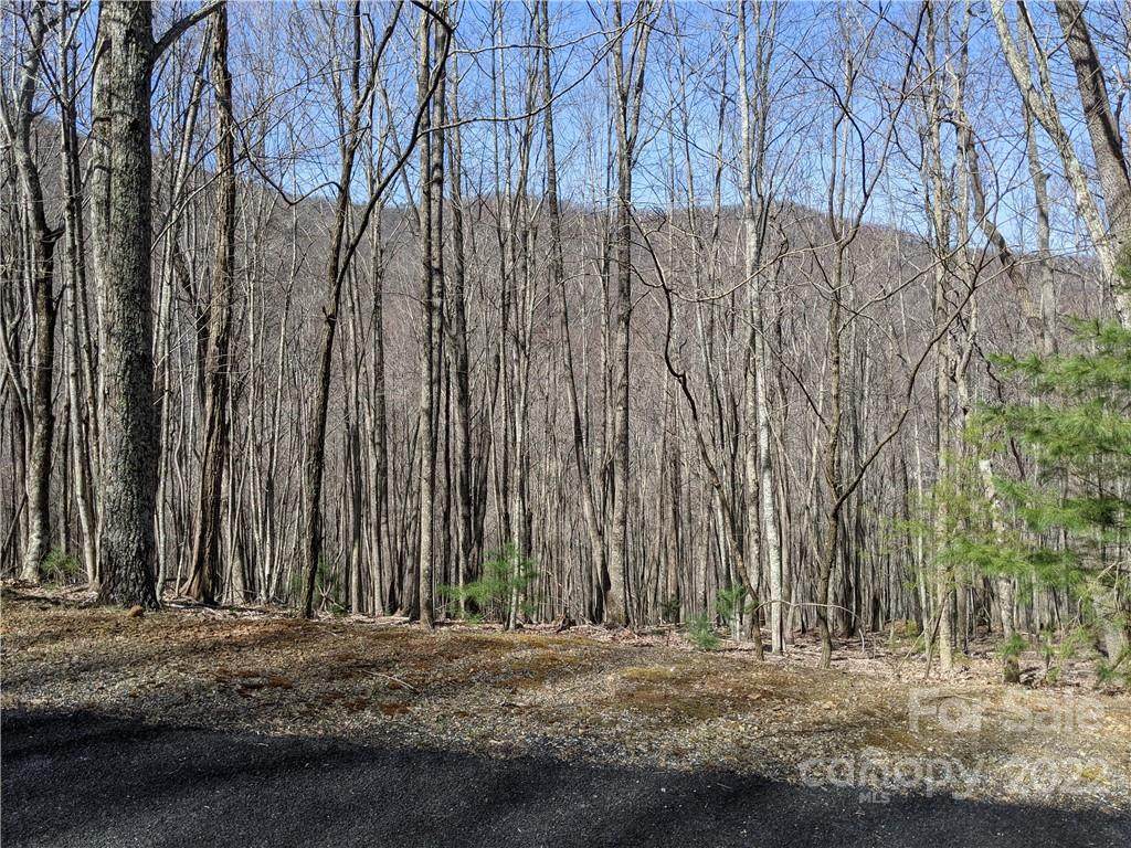 9999 Kanawa Lane - Photo 1