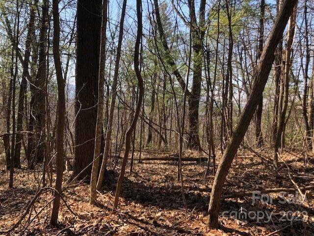 0 Branch Road - Photo 1