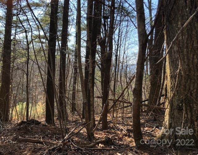 0 Branch Road - Photo 1