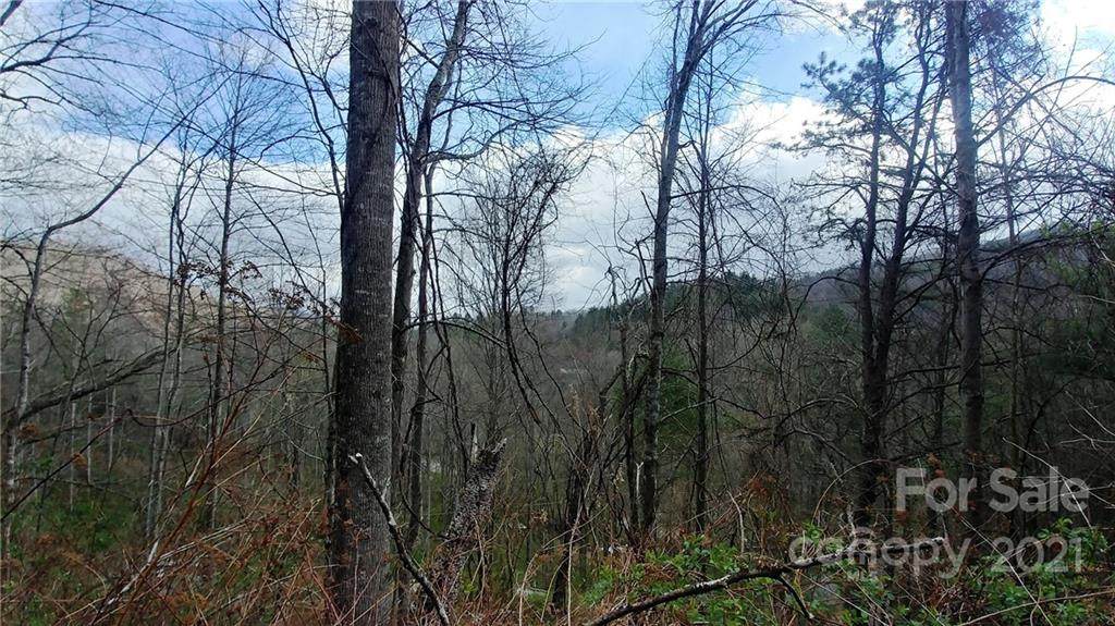 1 Lumberton Ridge - Photo 1