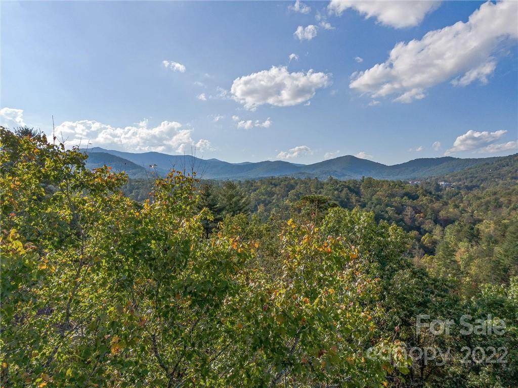 81 Misty Valley Parkway - Photo 1