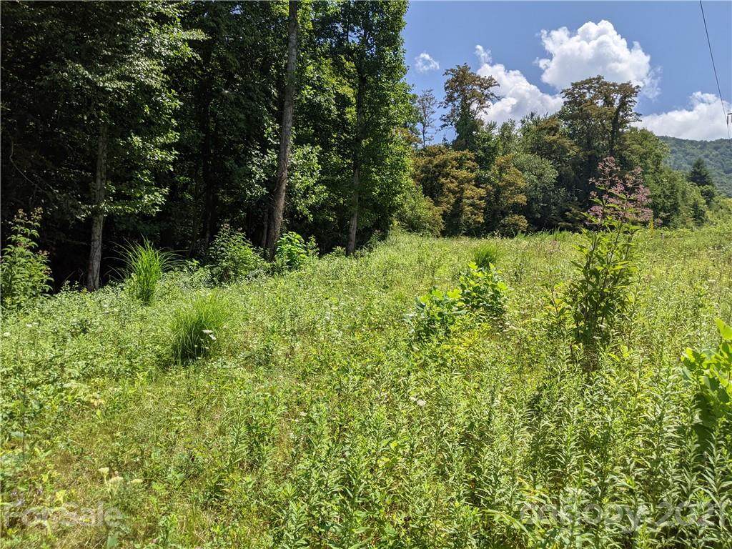 6 Deerhorn Circle - Photo 1