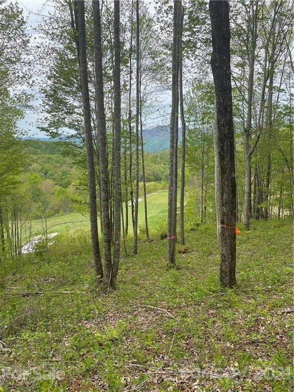 1781 High Line Road - Photo 1
