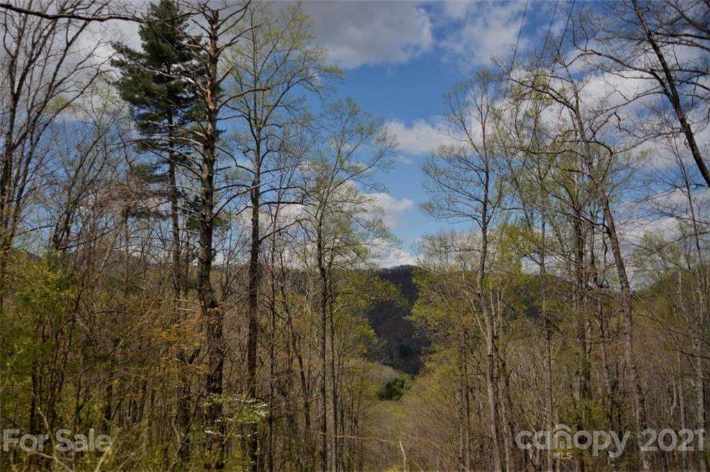 00 Anderson Cove Road - Photo 1