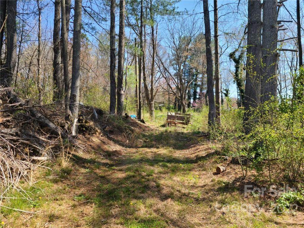 999999 Bear Creek Road - Photo 1