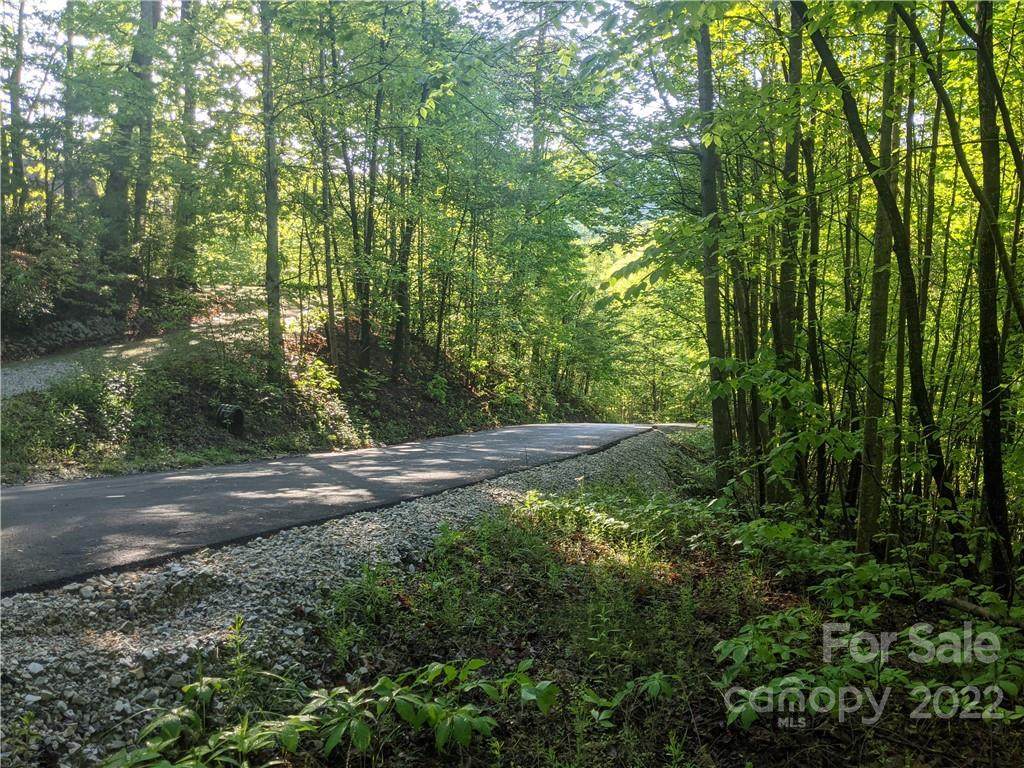 TBD Wild Cherry Lane - Photo 1