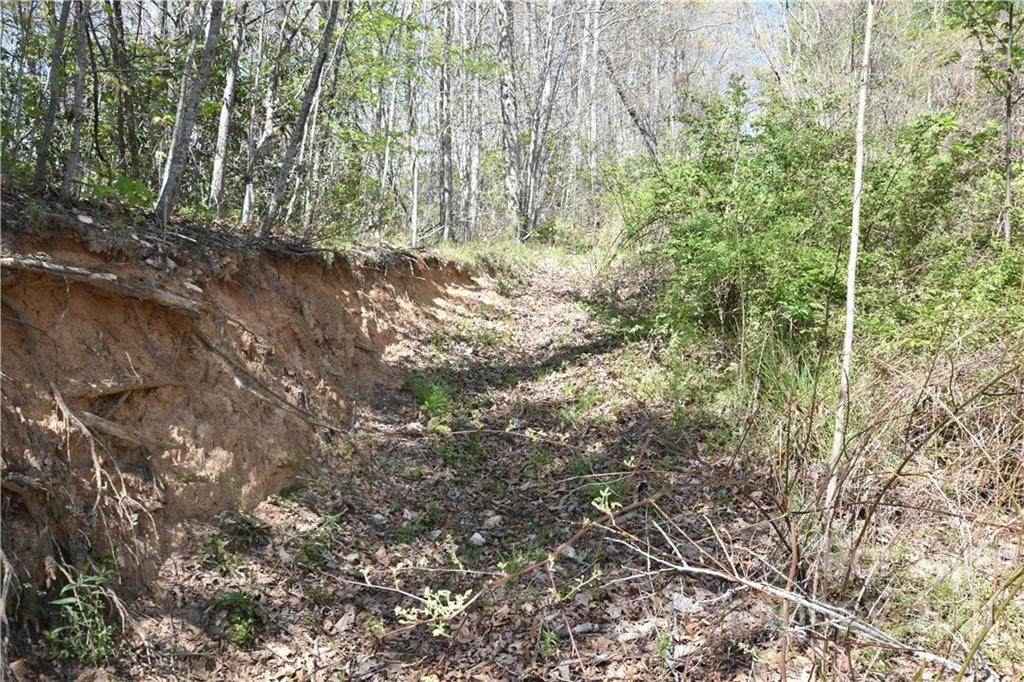 0000 Thumper Trail - Photo 1