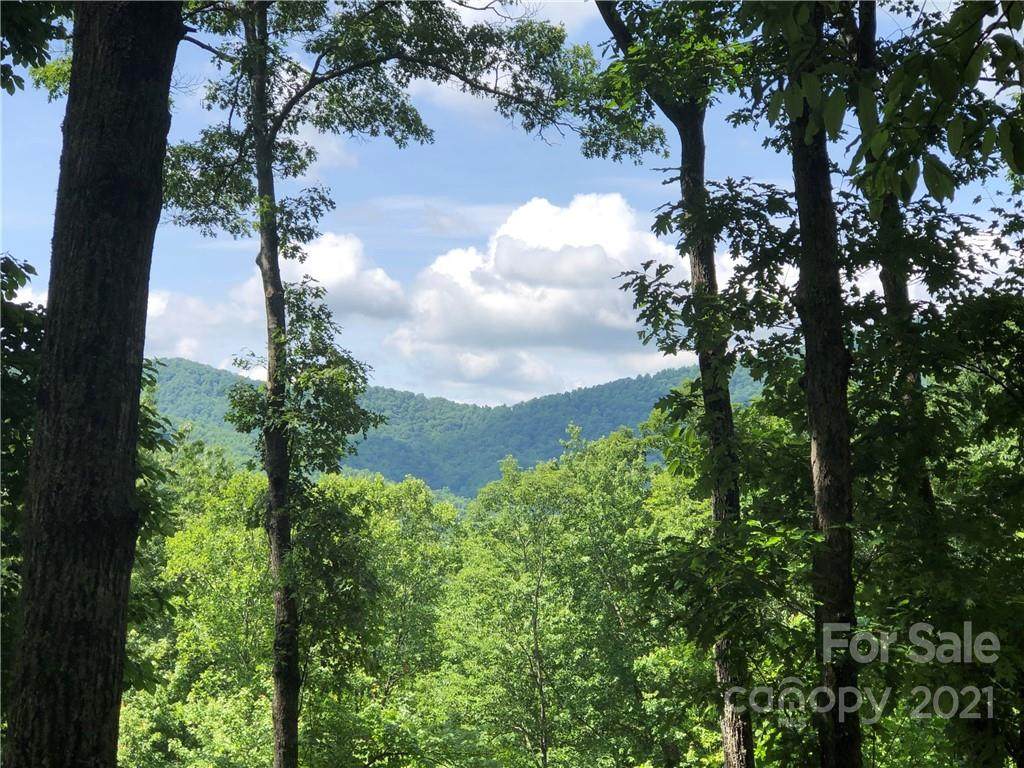 72 Smokey Ridge Trail - Photo 1