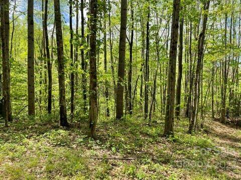 1362 Preserve Road - Photo 1
