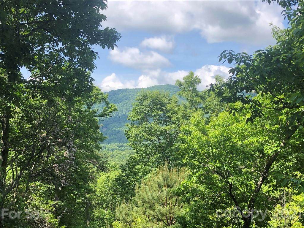 68 Smokey Ridge Trail - Photo 1