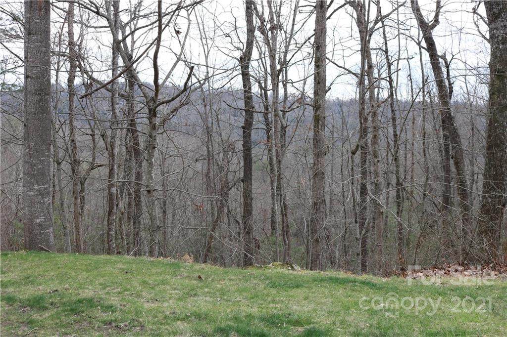 99999 Roaring Fork Lane - Photo 1