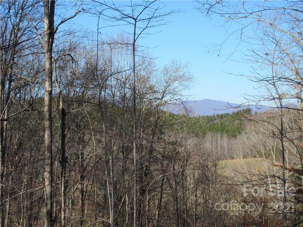 Lot 6 Cross Creek Trail - Photo 1