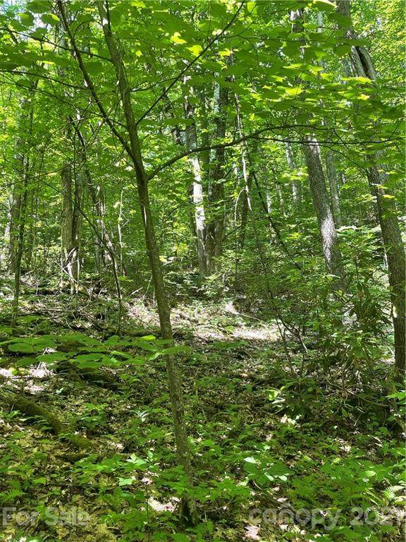 00 Hidden Cove Road - Photo 1