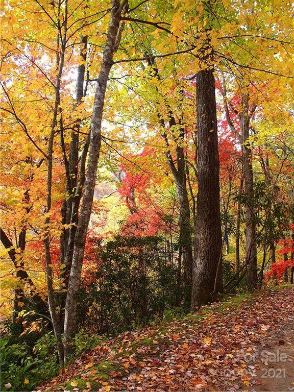 0000 Wild Turkey Run Road - Photo 1