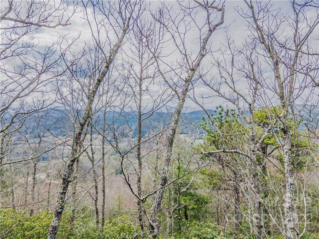 0000 Farside Drive - Photo 1
